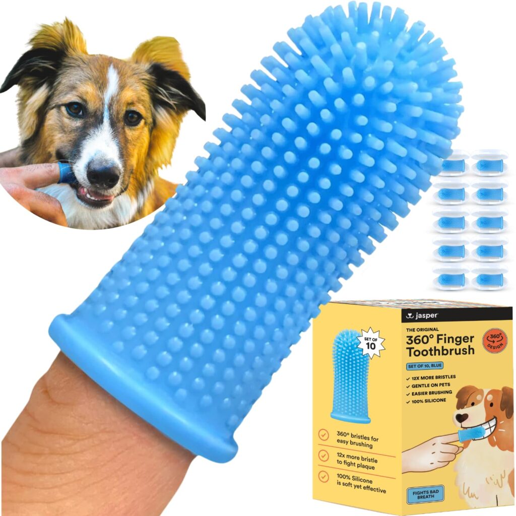 Jasper Dog Toothbrush 360 Dog Tooth Brushing Kit