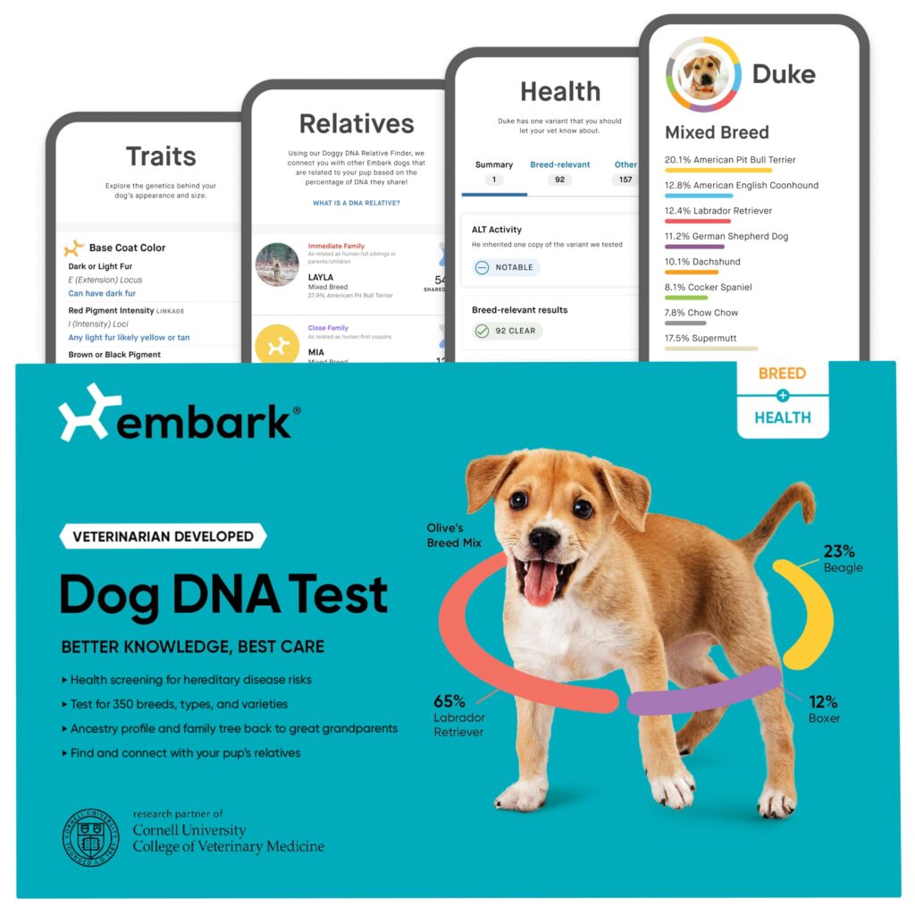 Embark Dog DNA Test