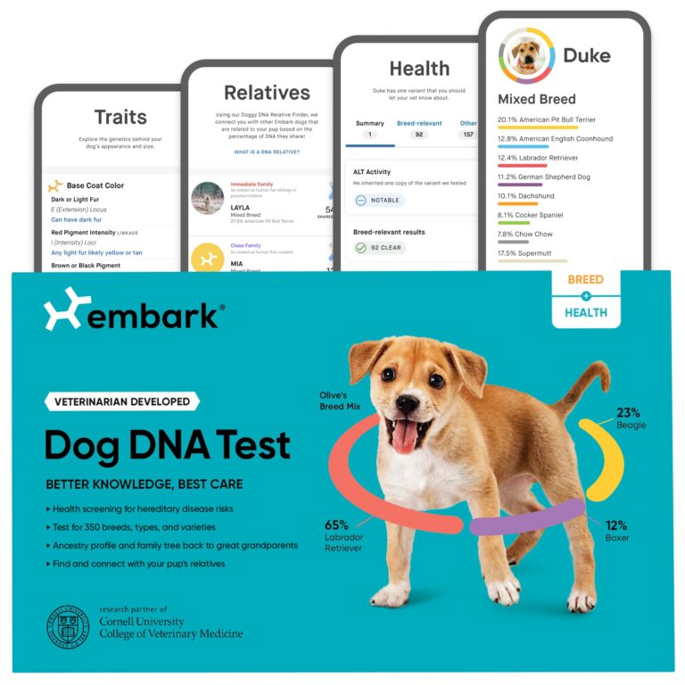 Embark Dog DNA Test