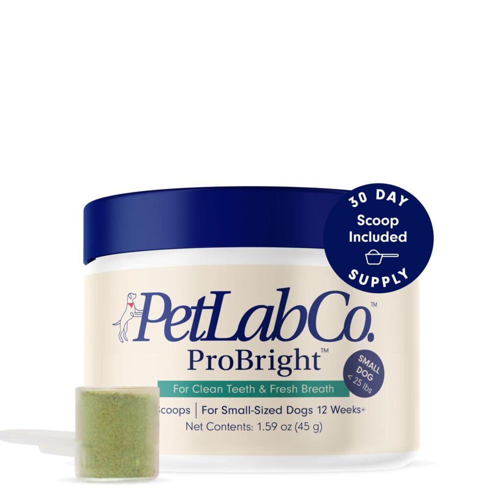 ProBright Dental Powder