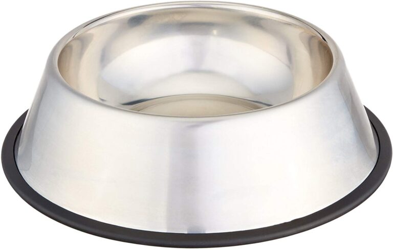 Amazon Basics Stainless Steel Pet Bowl 2-Pack