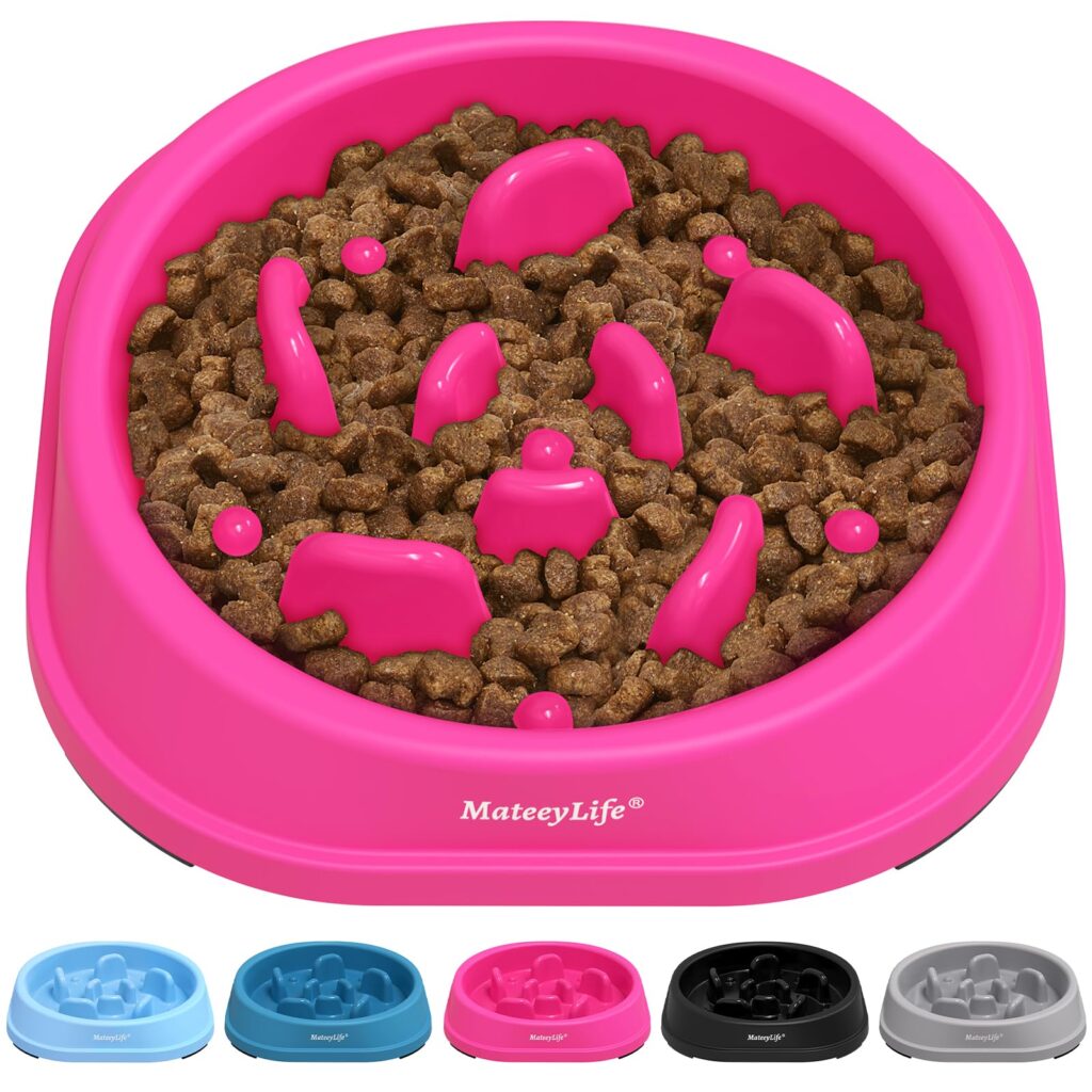 MateeyLife Slow Feeder Dog Bowls